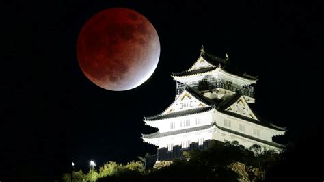 eclipse japanese.